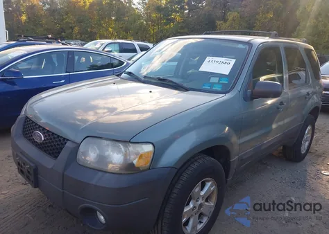 2007 Ford Escape Xlt z USA, uszkodzony, nr VIN 1FMYU03Z07KB37371